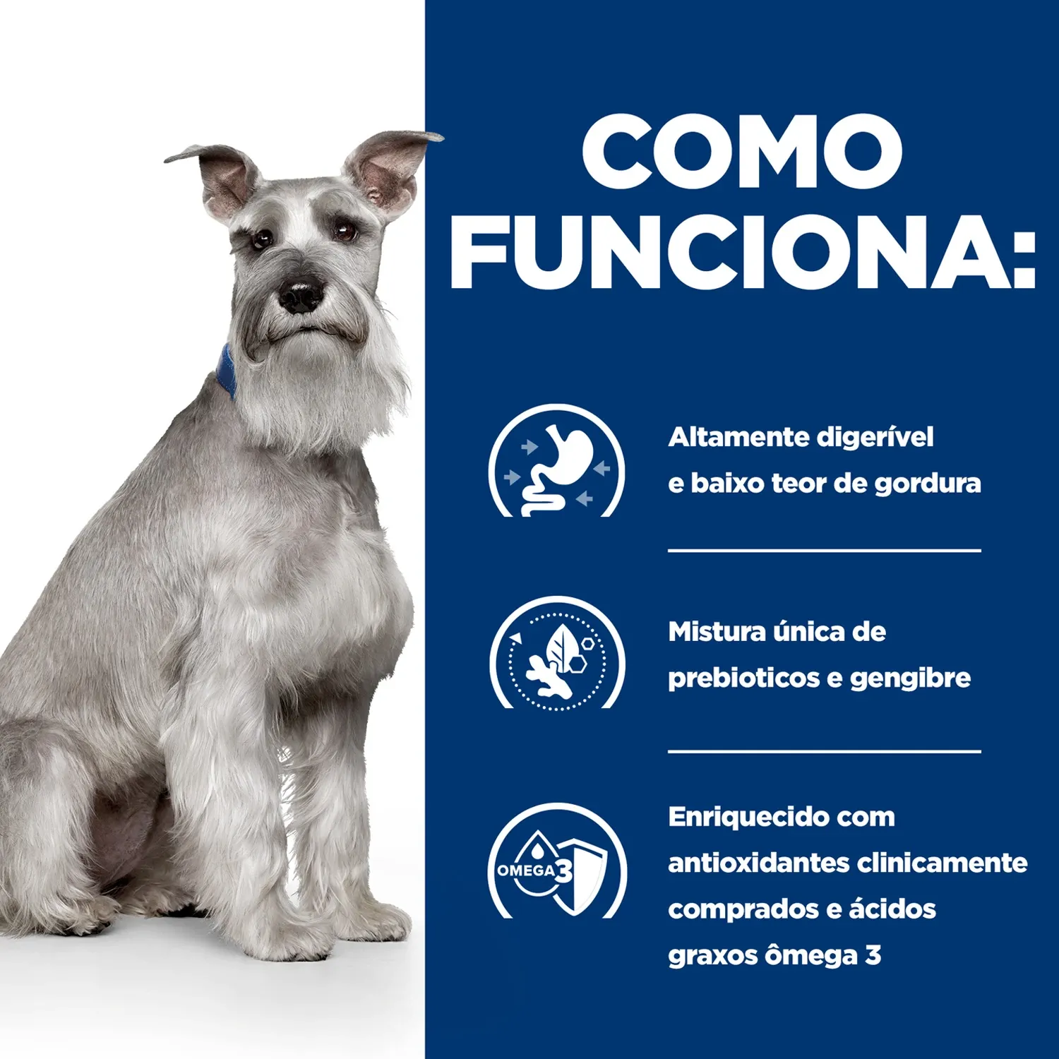 Como Funciona.webp